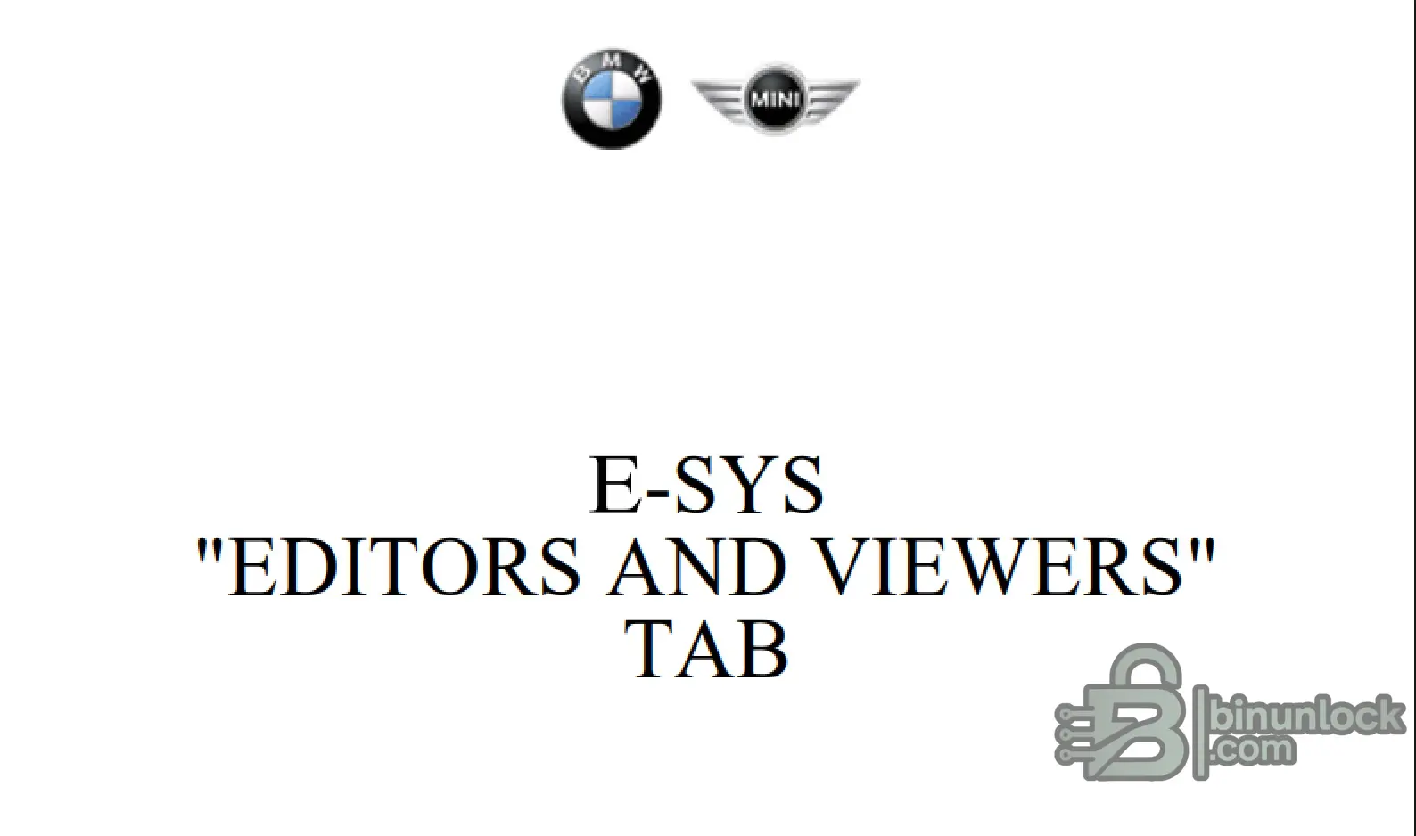 BMW E-Sys — пакет документации: руководства по кодированию и прошивке ECU — скриншот 1