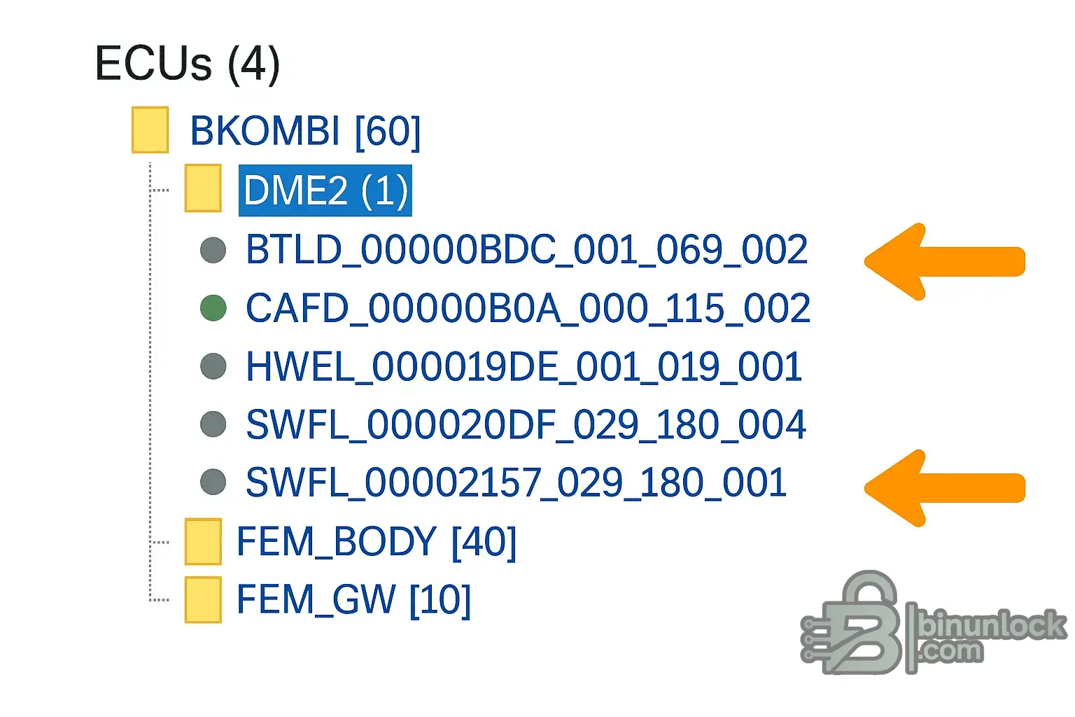 Разблокировка прошивки DME/EDC через E-Sys и патченные файлы BTLD — скриншот 3