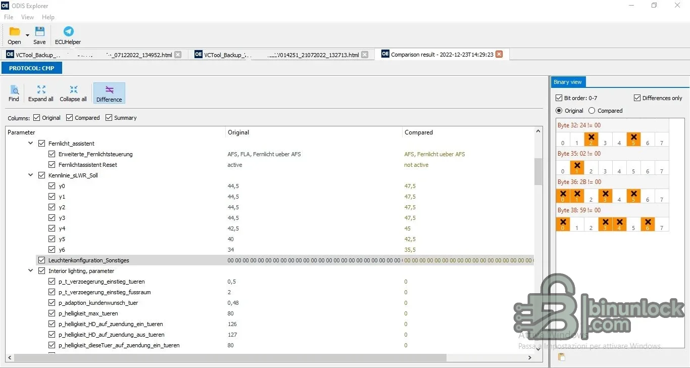 ODIS Explorer — редактор датасетов и параметров VAG 2.4.3 — скриншот 2