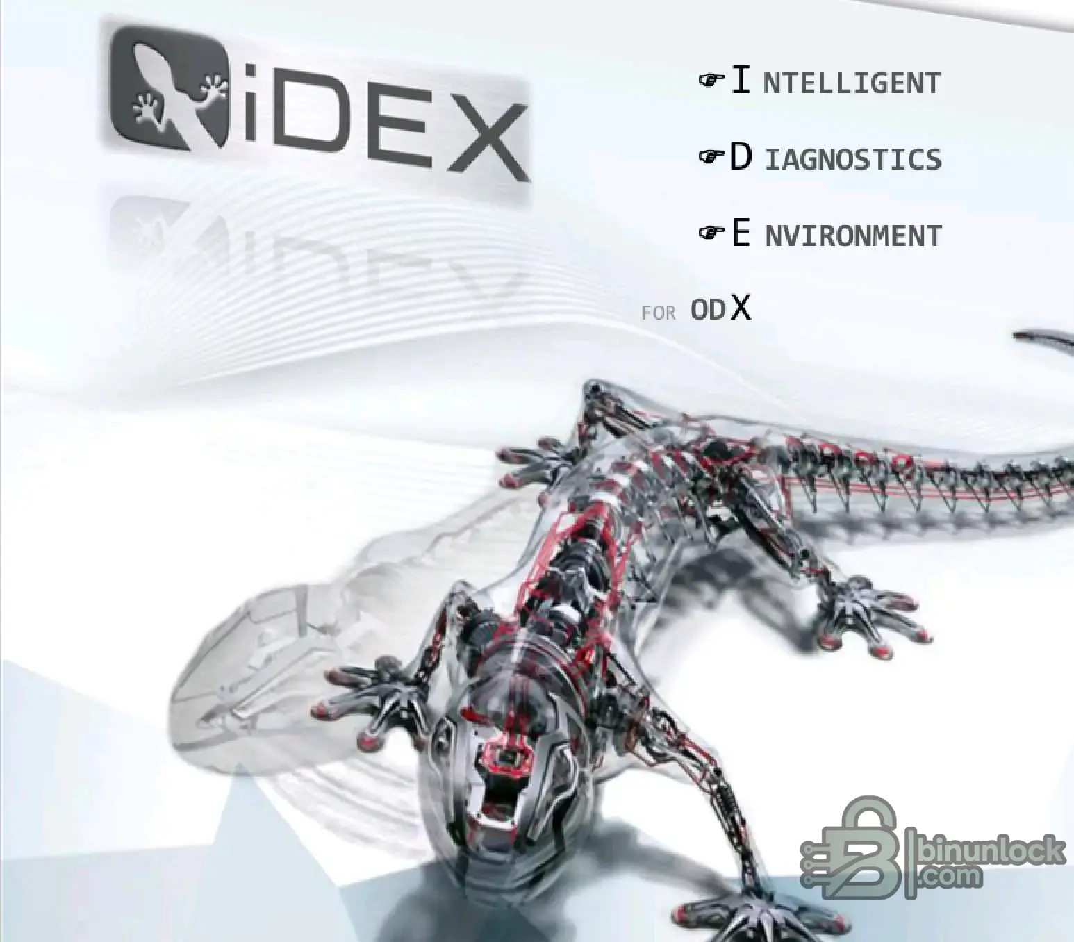 Руководство пользователя VAG iDEX Neo для диагностических проектов ODX — скриншот 1