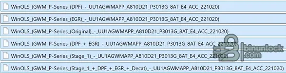 GWM_UU1AGWMAPP_A810D21_P3013G_8AT_E4_ACC_221020.webp