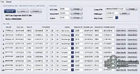 CAS1 Editor interface screenshot