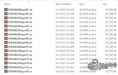Файлы прошивки CAT — комплект из 4 DVD (DVDA9022-20…DVDA9025-20) для CAT ET WinFlash 2020 — скриншот 3