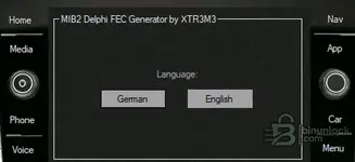 MIB2 Delphi FEC Manager — набор для активации функций 2025-09-25 — скриншот 2
