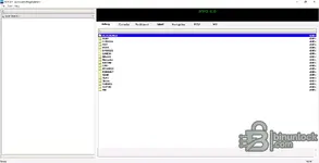NYO Automotive Dump Editor for Airbag Radio and Dashboard