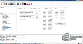 RenOLink 1.99 parameter sheet with adaptation values and fault reset options for ECU service diagnostics. RenOLink 1.99 parameter sheet with adaptation values and fault reset options for ECU service diagnostics.