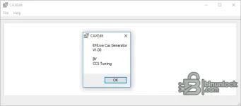 caxedit-efilive-cax-definition-generator.webp