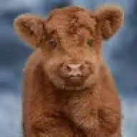 vlad211
