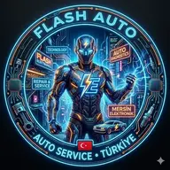 flash_auto