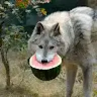 W4termelon