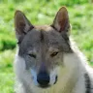 navarre01