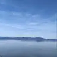 trestonste