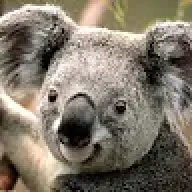 dagraa