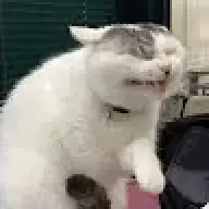 froehlichs