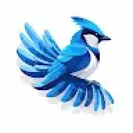 Jay.bigmotoringworld