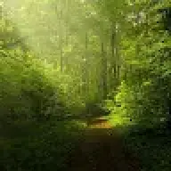 slimviny