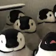 dukeapengu