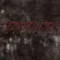 borceekost