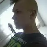sipe93