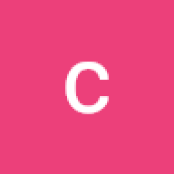 colliedug1