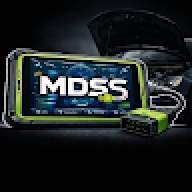 MDSS