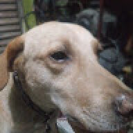 kooopa