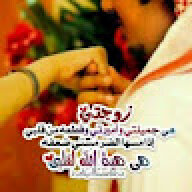 Abudi22853