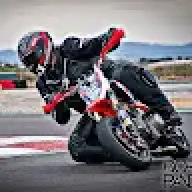 zapata83