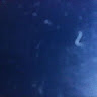 flyhigh2