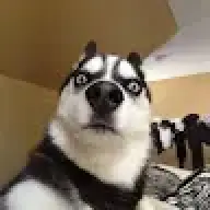 Academeg_3