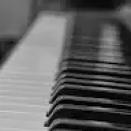 odegisam