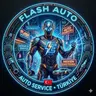 flash_auto
