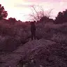 diepachava