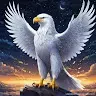 eaglenight