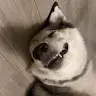 tiredtech