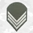 silvajefte