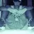 amirhr98