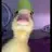 duckydduck