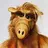 tomek22222