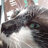 Zenon_12