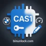 CAS1 Редактор | Редактирование BMW ISN, VIN и пробега (2K79X, 0L01Y, 0K50E)