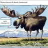 Калькулятор Moose — инструмент для расчёта контрольных сумм ECU грузовиков Volvo